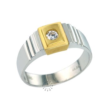 Ring 14ct White Gold and Gold