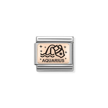 Nomination Link Aquarius made of Stainless Steel and 9ct Rose Gold with Enamel