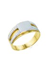 Ring 14ct Gold and White Gold SAVVIDIS (EUR No 65 - US No 11)