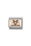 Nomination Link Capricorn made of Stainless Steel and 9ct Rose Gold with Enamel