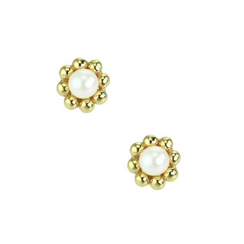 Earings in 14ct Gold with