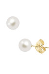 SAVVIDIS Earrings 14ct Gold with 5.0 - 5.5 mm Akoya Pearls
