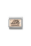 Nomination Link Aquarius made of Stainless Steel and 9ct Rose Gold with Enamel