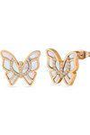 CERRUTI Butterfly 3.0 Stainless Steel Earrings
