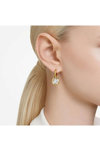 SWAROVSKI White Dextera drop earrings (Round cut)