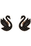 SWAROVSKI Black Swan stud earrings